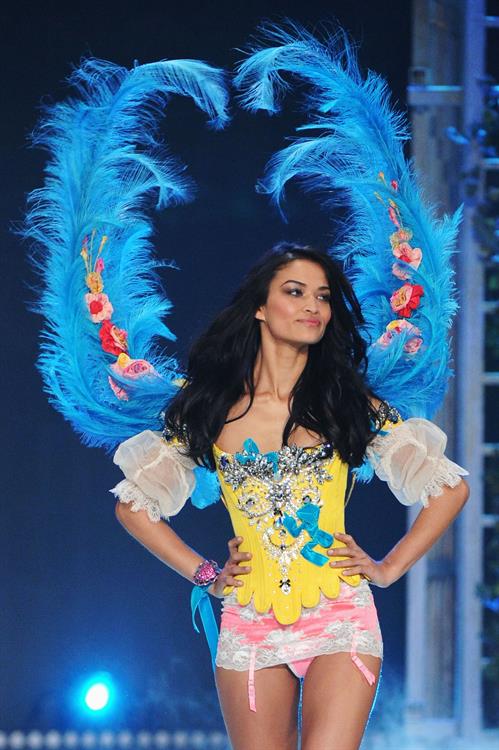 Shanina Shaik in lingerie