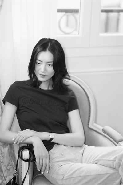 Liu Wen