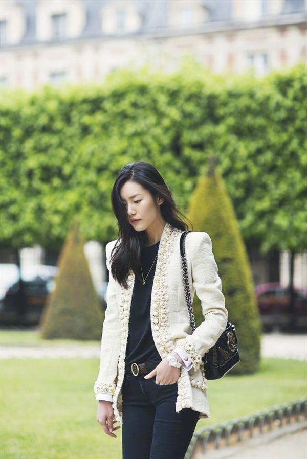 Liu Wen