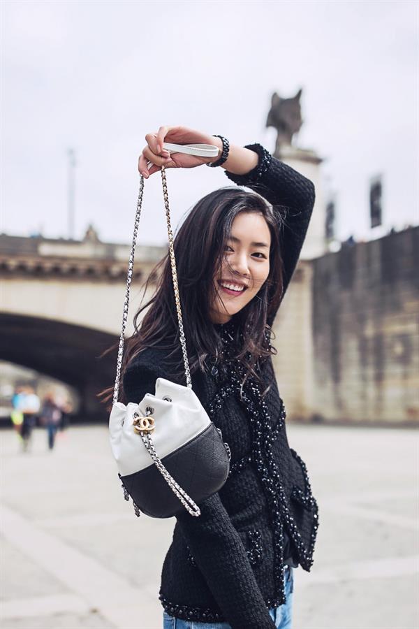 Liu Wen