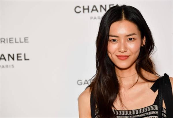 Liu Wen