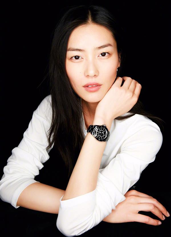 Liu Wen