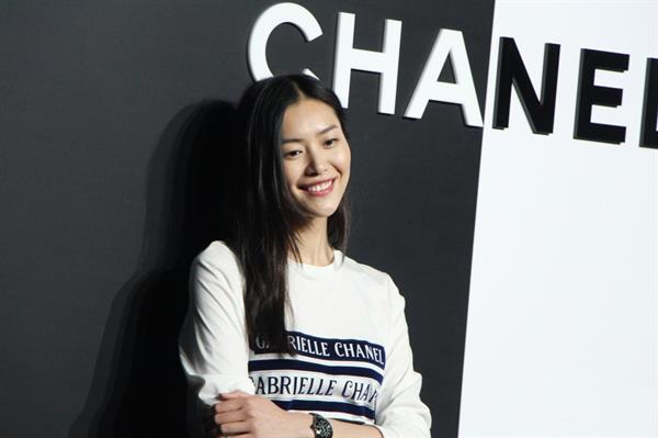 Liu Wen