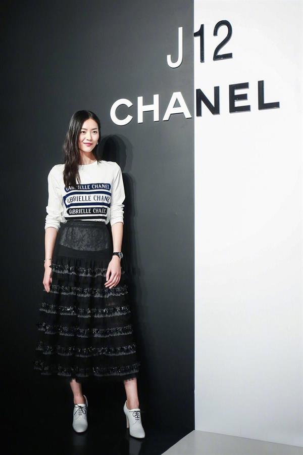 Liu Wen