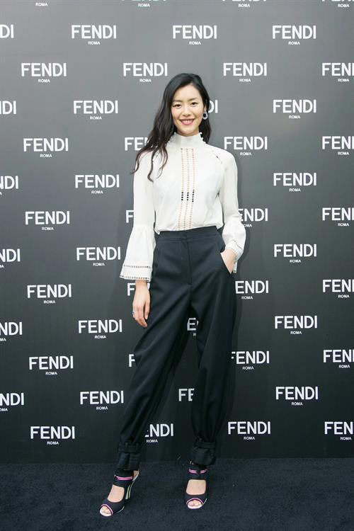 Liu Wen