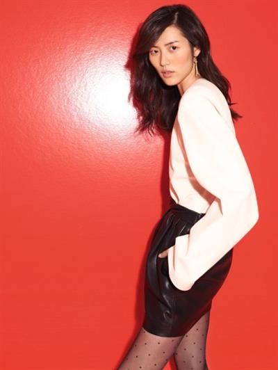 Liu Wen