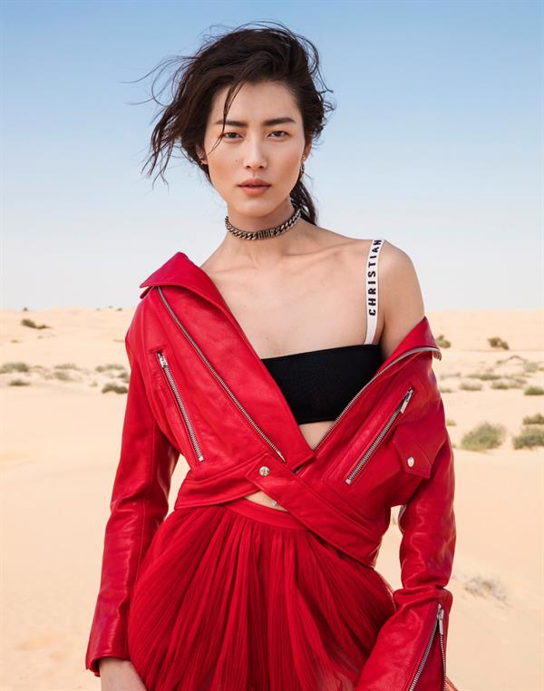 Liu Wen