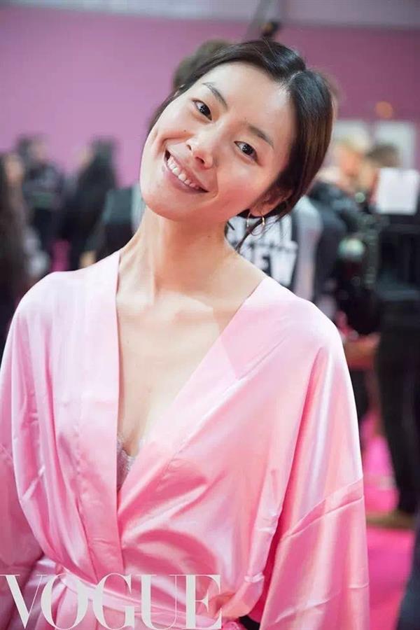 Liu Wen