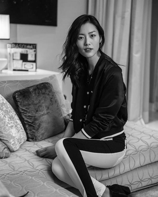 Liu Wen