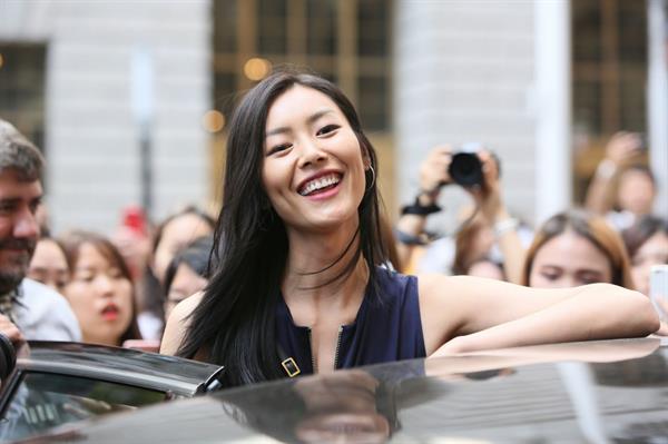 Liu Wen