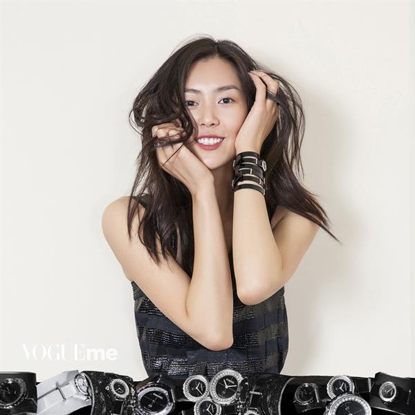 Liu Wen