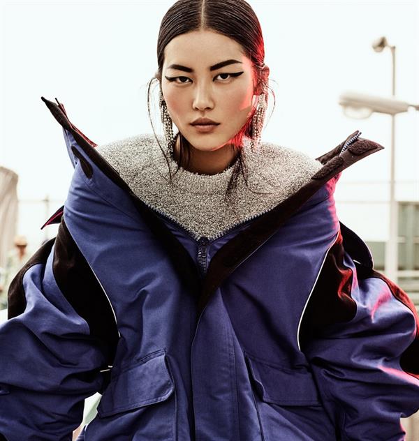 Liu Wen