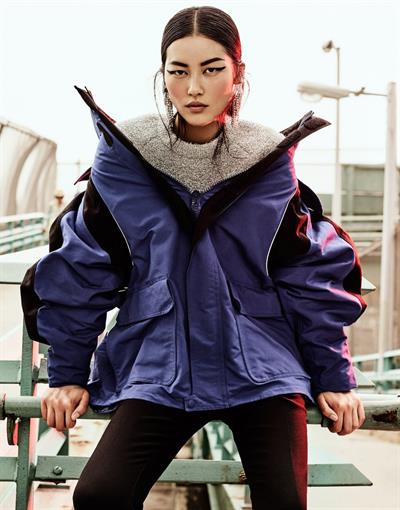 Liu Wen