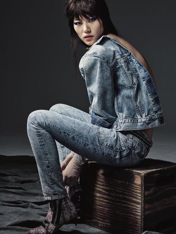 Liu Wen