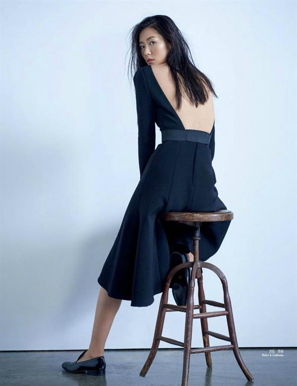 Liu Wen