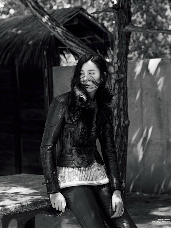 Liu Wen