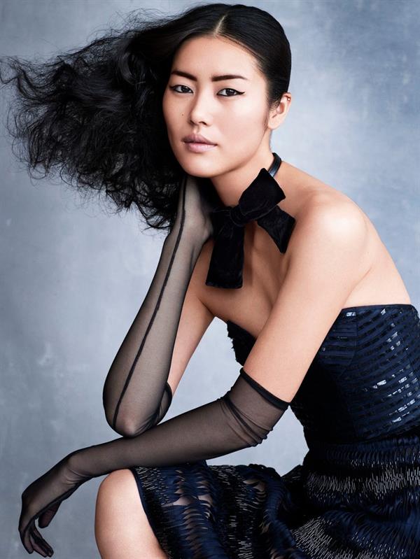 Liu Wen