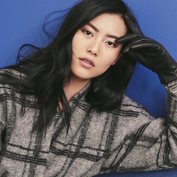 Liu Wen