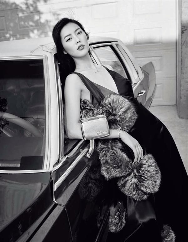 Liu Wen