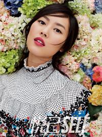Liu Wen