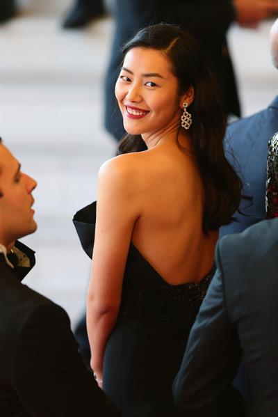 Liu Wen