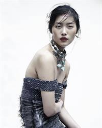 Liu Wen