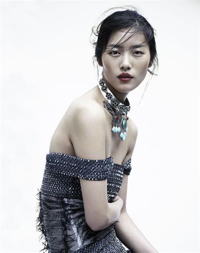 Liu Wen