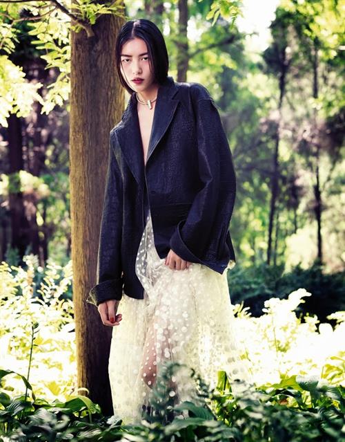 Liu Wen