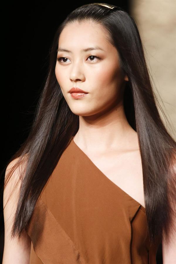 Liu Wen