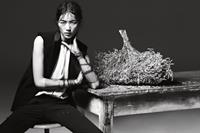 Liu Wen