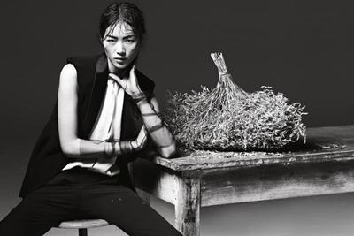 Liu Wen