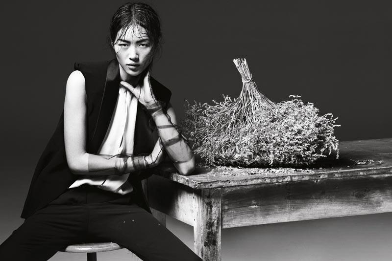 Liu Wen