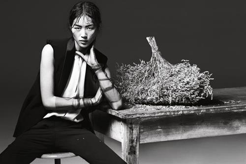 Liu Wen