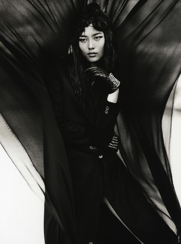 Liu Wen