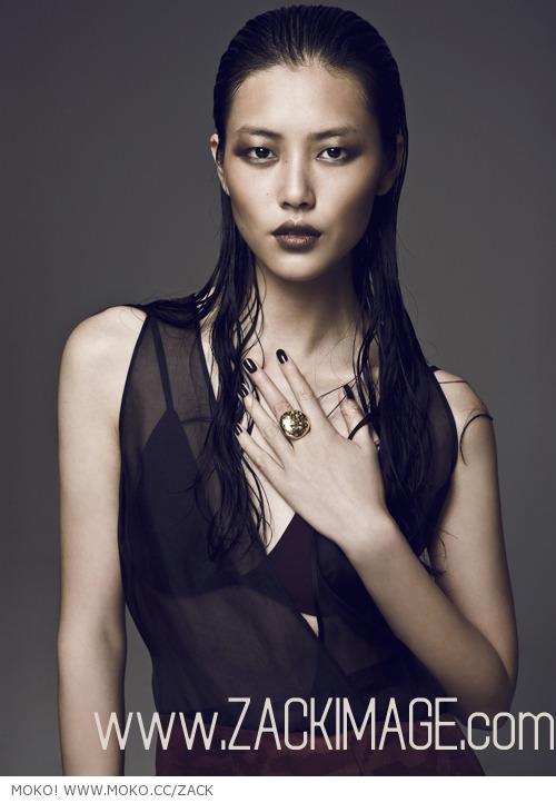 Liu Wen