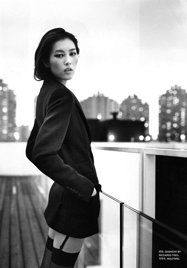 Liu Wen