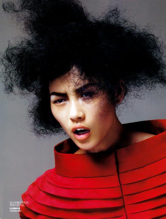 Liu Wen