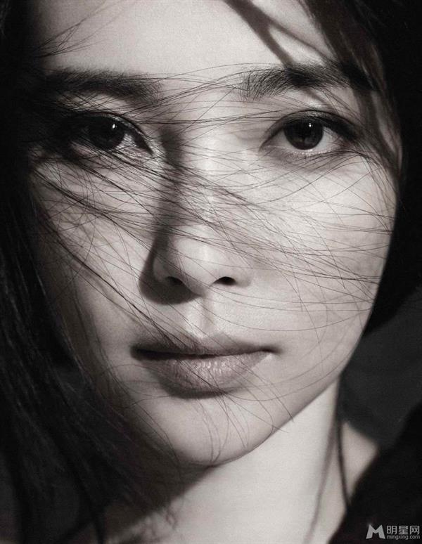 Li Bingbing