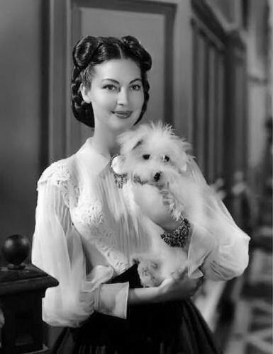 Ava Gardner