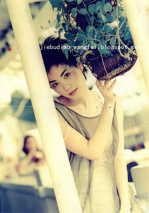 Faye Wong