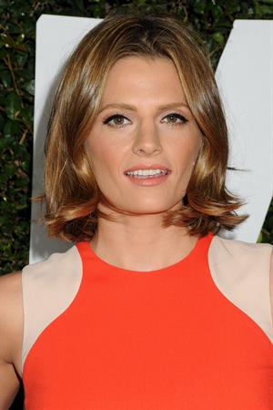 Stana Katic  Mandela: Long Walk To Freedom  Los Angeles Premiere - Hollywood, Nov. 11, 2013 