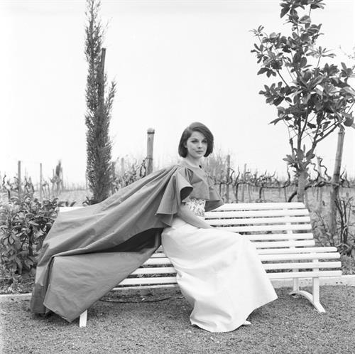 Virna Lisi Divers Pics Pic with Marcello Mastroianni 