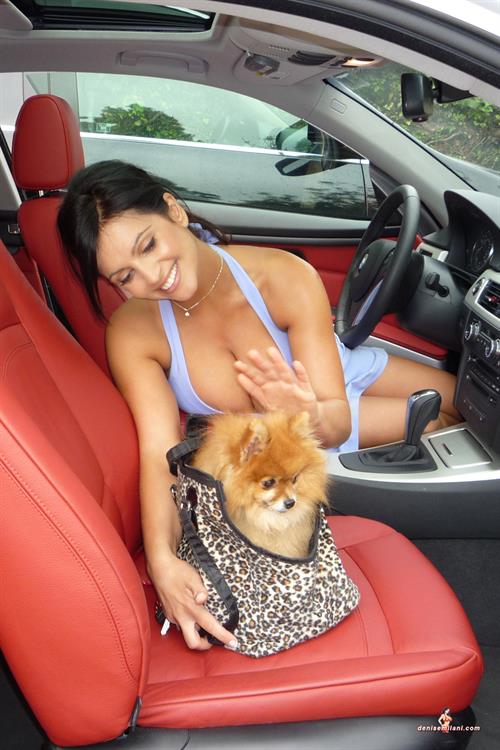 Denise Milani Snapshots - DogWalk