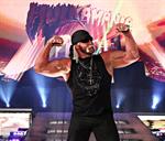 Hulk Hogan