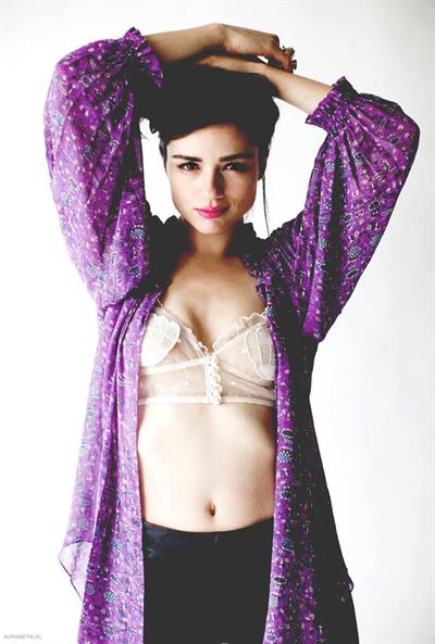 Crystal Reed in lingerie