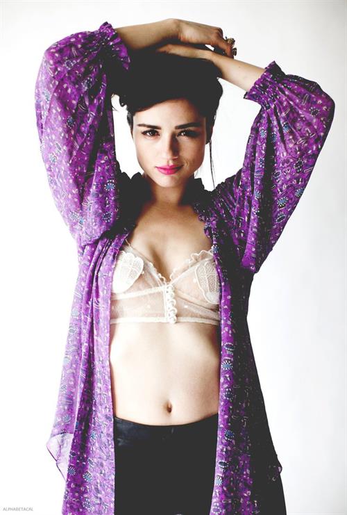 Crystal Reed in lingerie