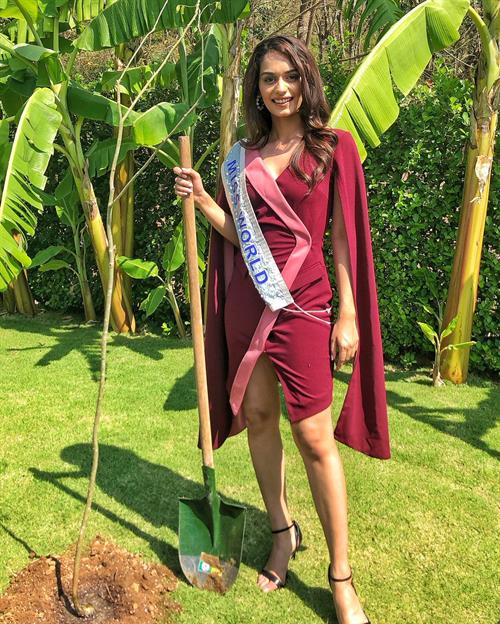 Manushi Chhillar