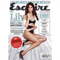 Lily Aldridge in lingerie