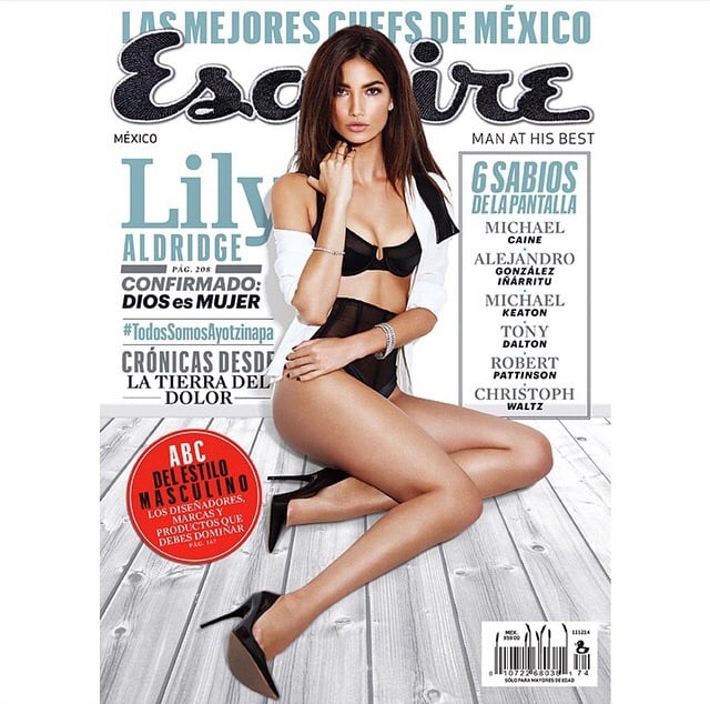 Lily Aldridge in lingerie