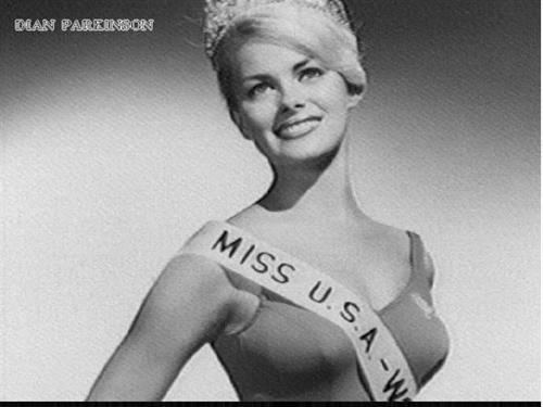 Dian Parkinson was one of Barker's Beauties on the Price is Right